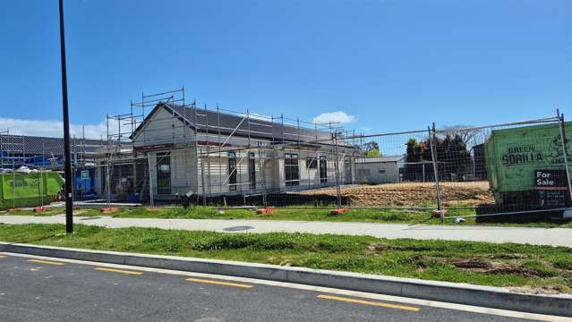 4 Mataikokako  Loop Kawakawa Bay_3