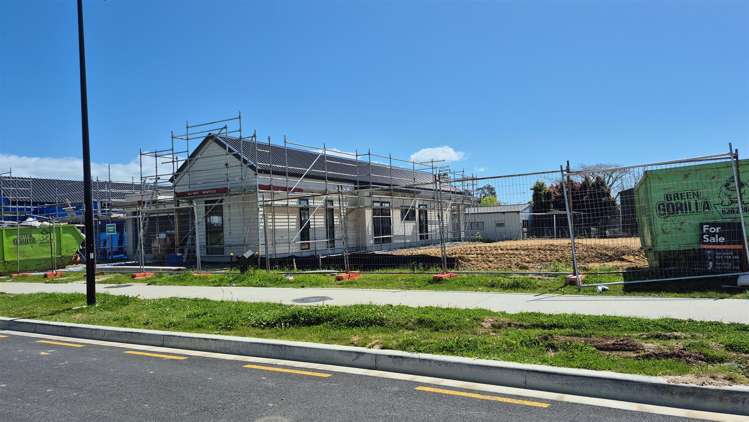 4 Mataikokako  Loop Kawakawa Bay_3