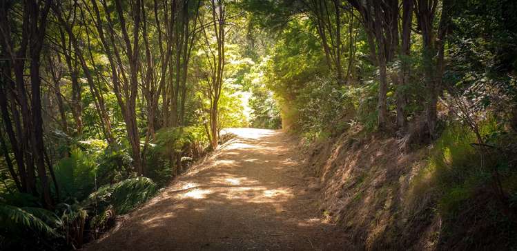 671 Hikuai Settlement Road Pauanui_14