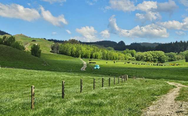 1428 Salisbury Road Kereru_4