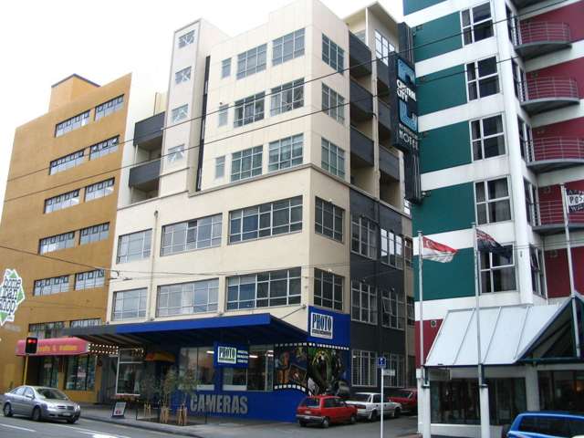 33/3 Edward Street Te Aro_3