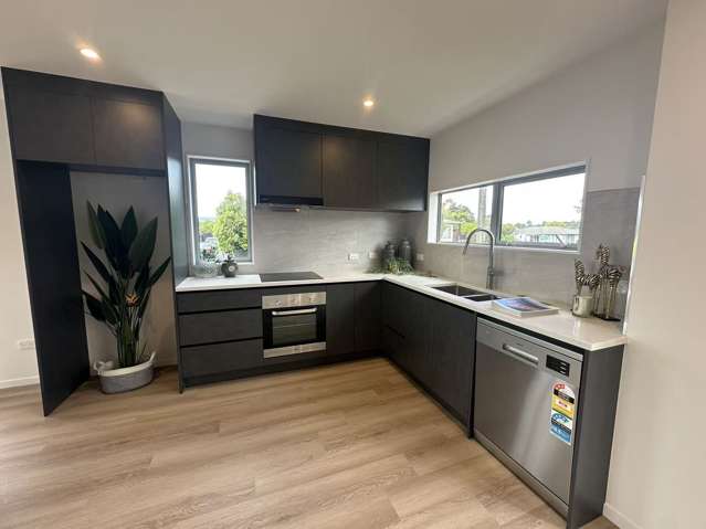 26D Trojan Crescent New Lynn_4