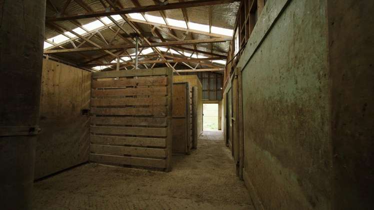 137 McLeods Road Palmerston_17