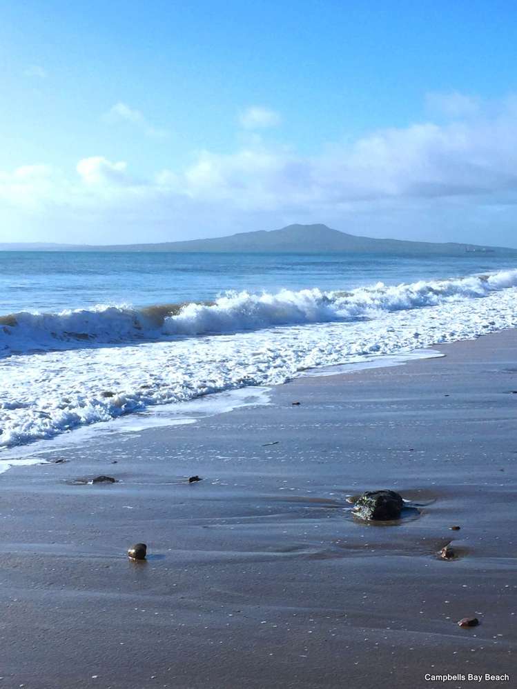 172 Beach Road Campbells Bay_33