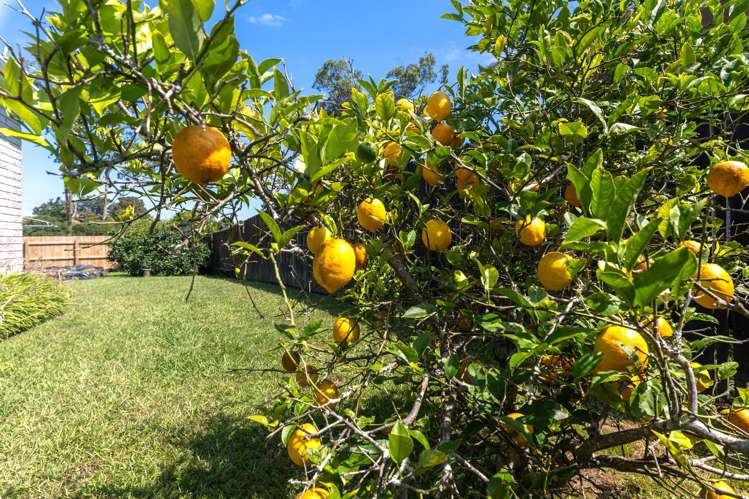 59 Rosser Street Huntly_21