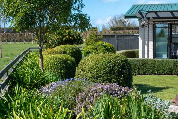 150 Te Mata Mangateretere Road Havelock North_12