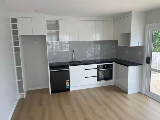 16 Cleghorn Avenue Mount Roskill_1