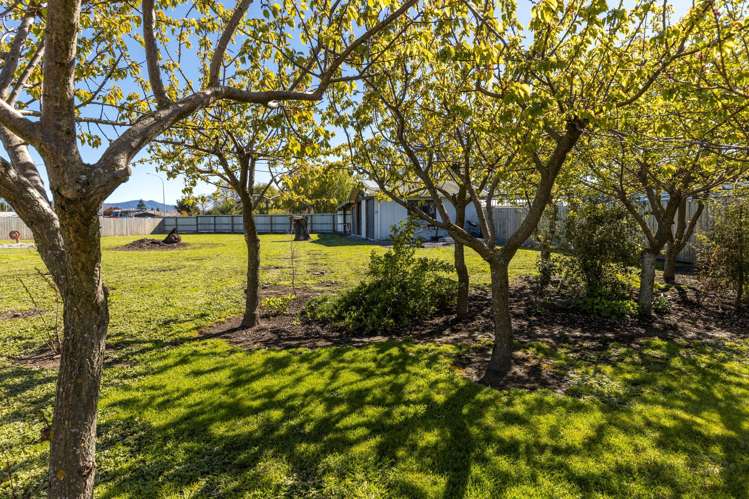 386 Alabama Road Riverlands_11
