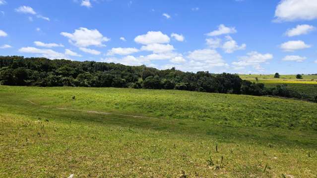 600 Upper Kiri Road Te Kiri_4