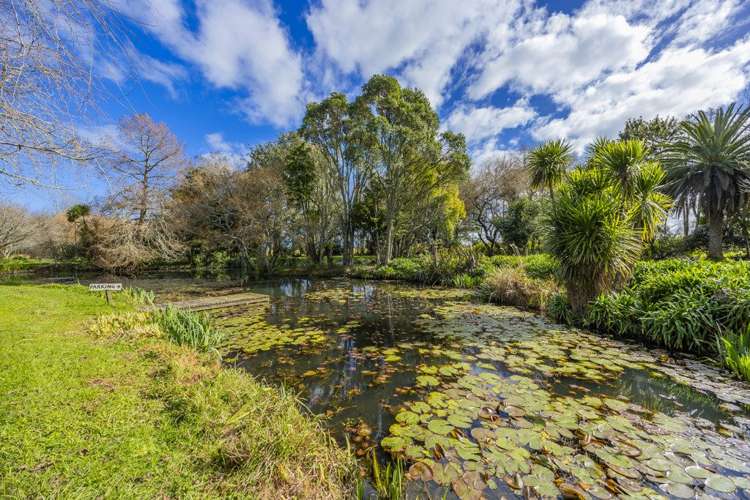 35C Wallace Drive Clarks Beach_8