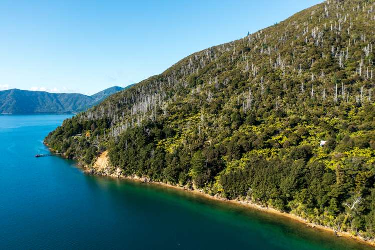 Lot 2 North West Bay Pelorus Sound_18