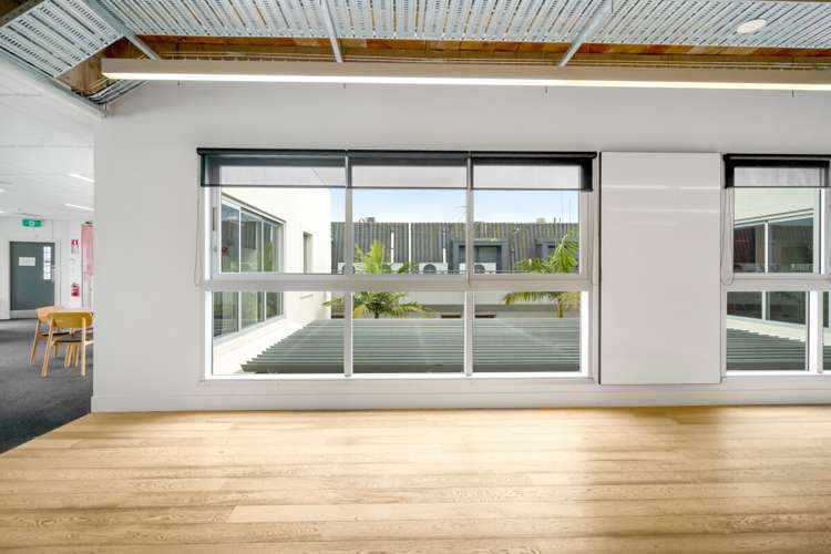 7 Falcon Street Parnell_7