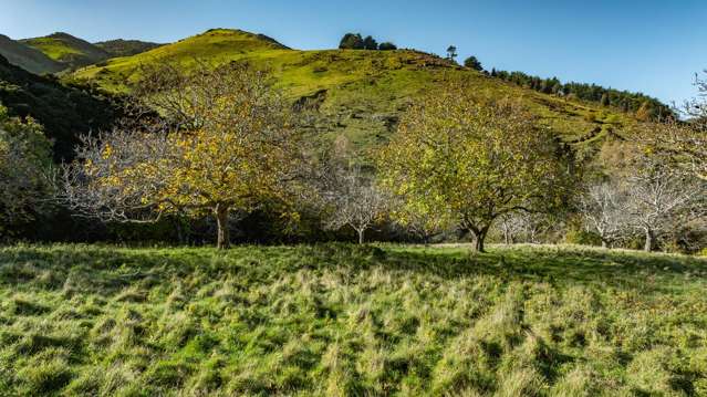 129 Bells Road Takamatua_3