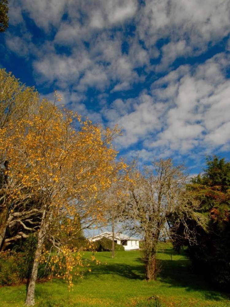 69 Oparara Karamea Karamea_19