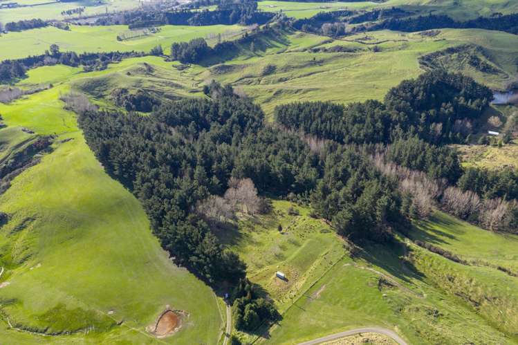 No 1 Line Pohangina_7