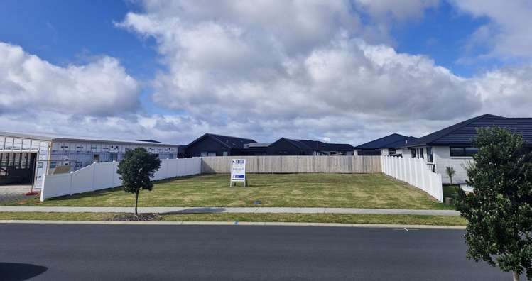 113 Kaurinui Crescent One Tree Point_5