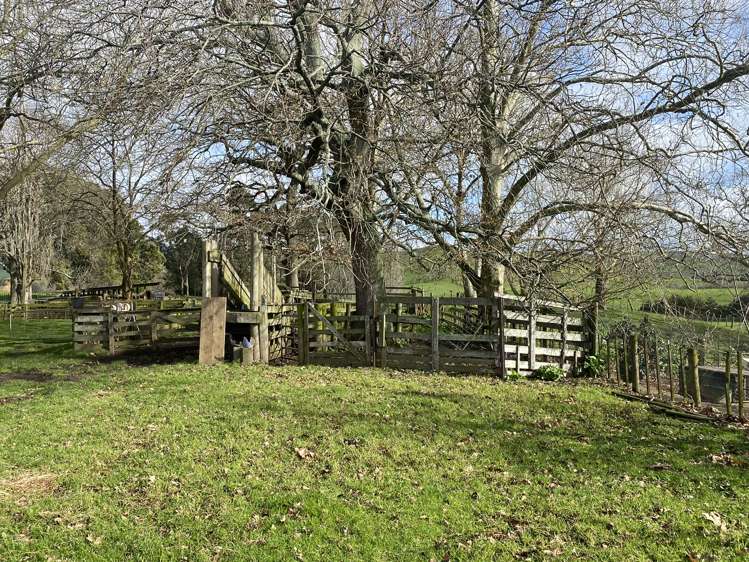 1325 Morrinsville-Tahuna Road Tahuna_25