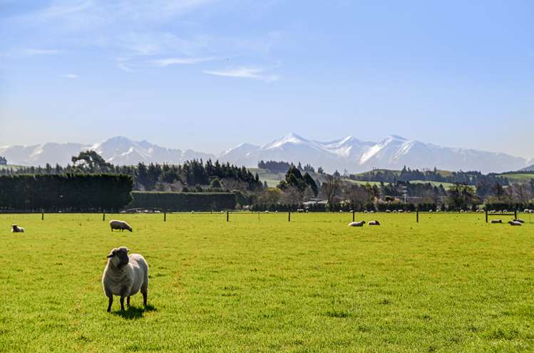 140 Hacketts Road Darfield_12