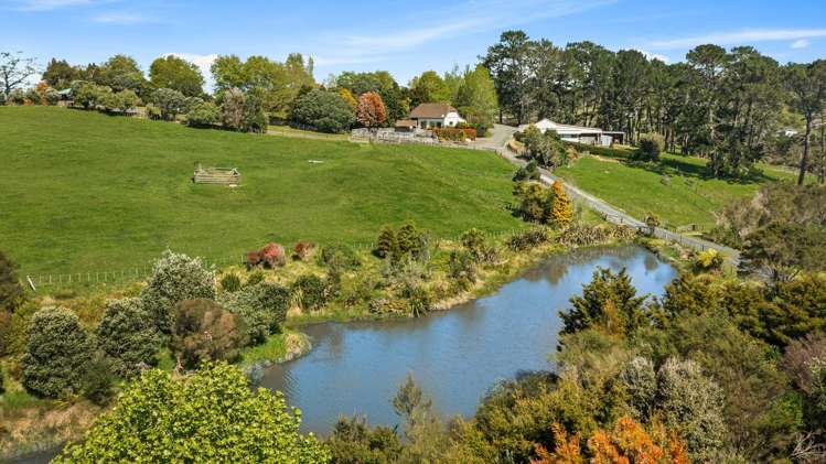 328 Horseshoe Bush Road Dairy Flat_22