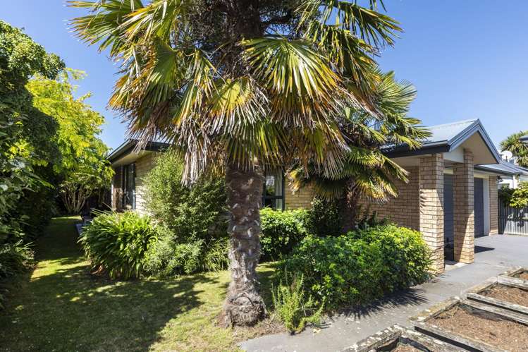 18a Seddon Street Sydenham_15