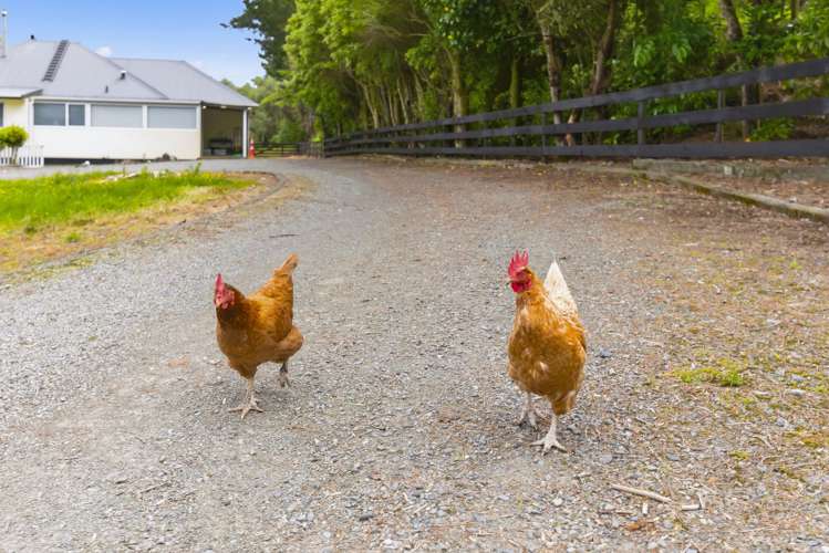 258 Waitohu Valley Road Otaki_28