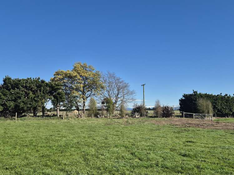 185 McIntoshs Road Fernside_8