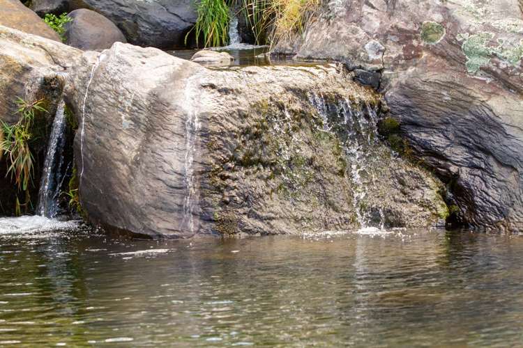 244 Lindemann Road Tahawai_17