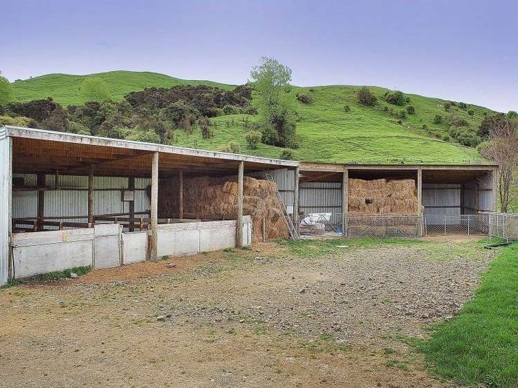 428 West Road Mauriceville_18