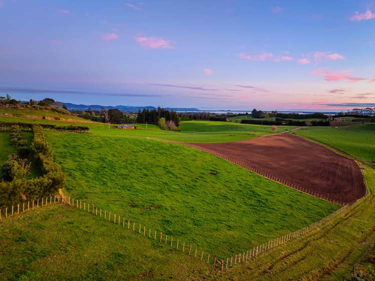Lot Lot 1 Ross Road Whakamarama_10