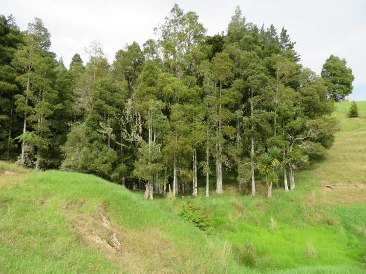 285 Peria Road Peria_7