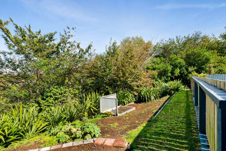 44 Waimea Street Westown_22