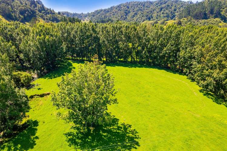 324 Okoki Road Urenui_21