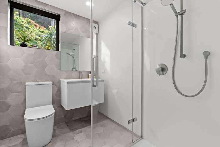 49 Mt Pleasant Road Aro Valley_5