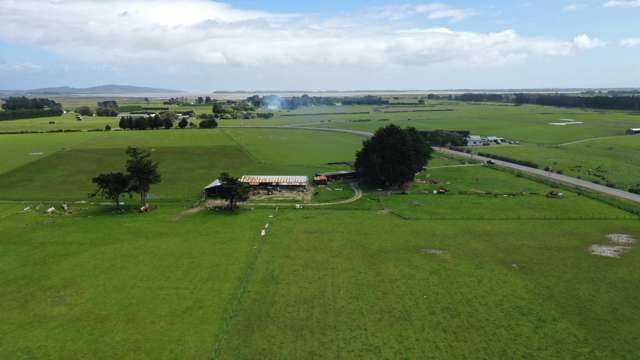 1233 Motu Rimu Road Woodend_1