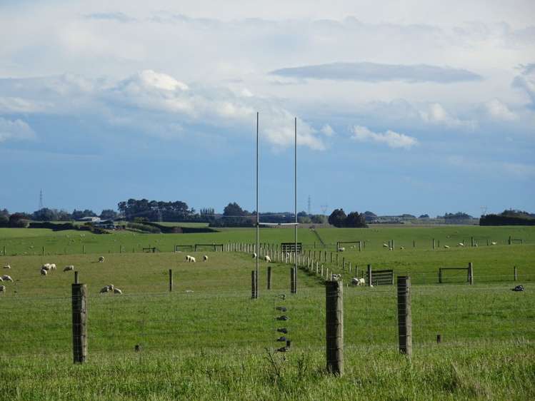 295 Kelvin Road Gore Surrounds_19