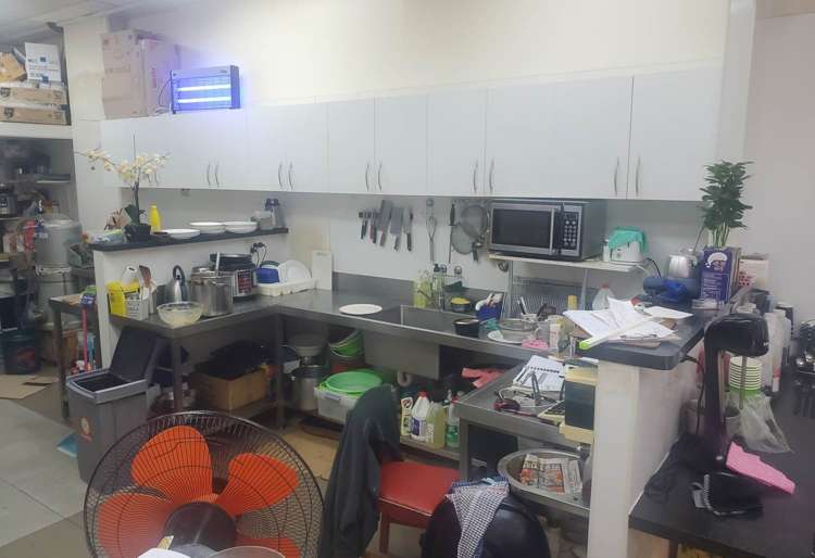 2/55 Sainsbury Road Mount Albert_7