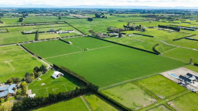 955 Springs Road Prebbleton_4