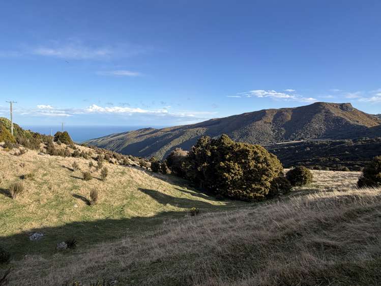 490 Long Bay Road Akaroa_16