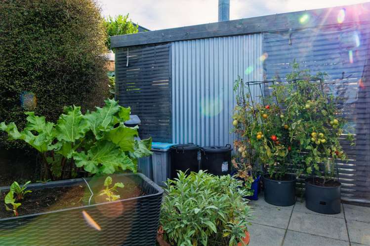 84b Churchill Street Kaikoura_80