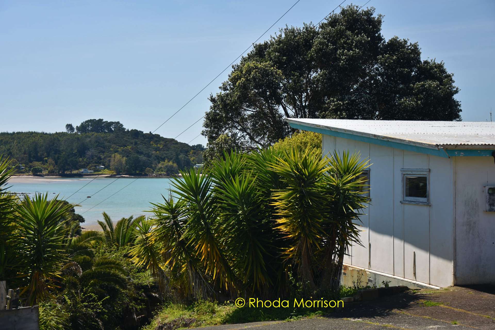 14 Komiti Road Tinopai Kaipara Houses for Sale One Roof
