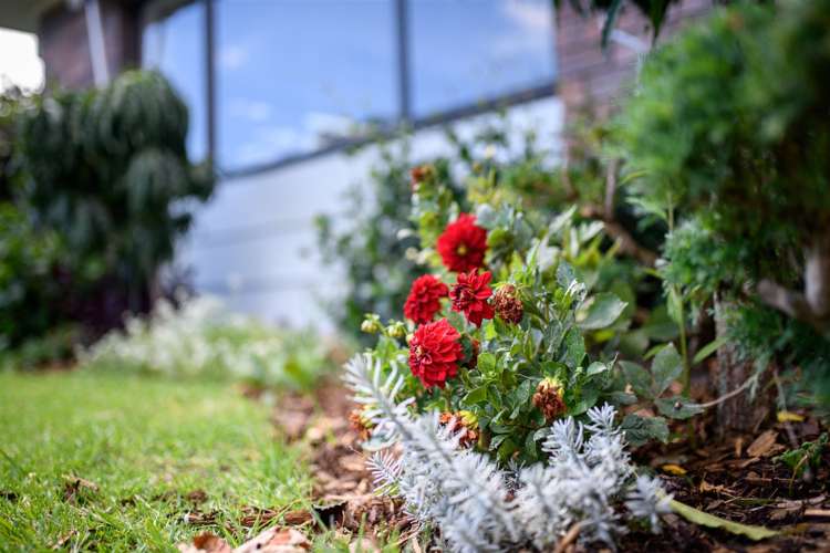 4/39 Swanson Road Henderson_26