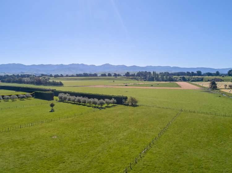 62 Loop Line Opaki_9