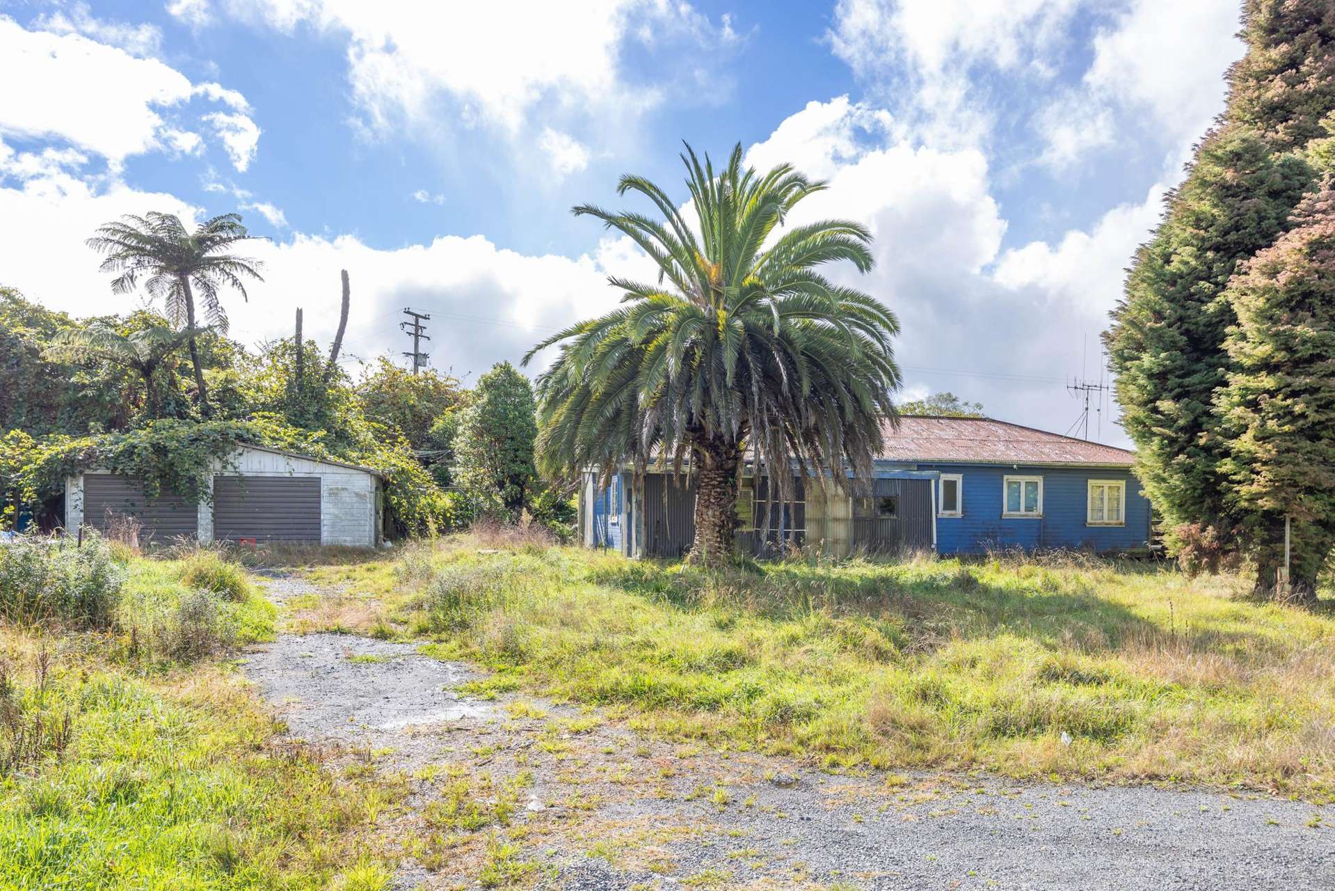 342 State Highway 3 Piopio_0