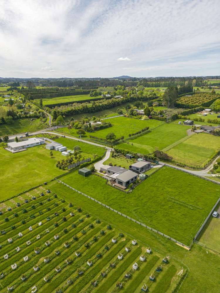 534b Mclaren Falls Road Kaimai_27