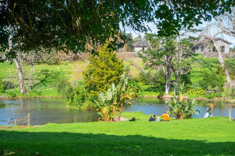 638 Ngunguru Road Glenbervie_34