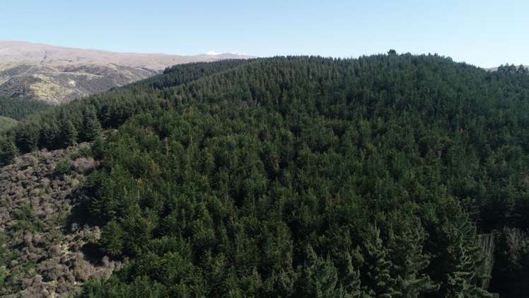 86 West Maerewhenua Road North Otago Surrounds_9