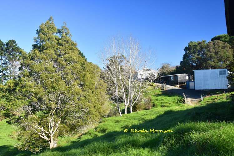 330 Franklin Road Paparoa_48