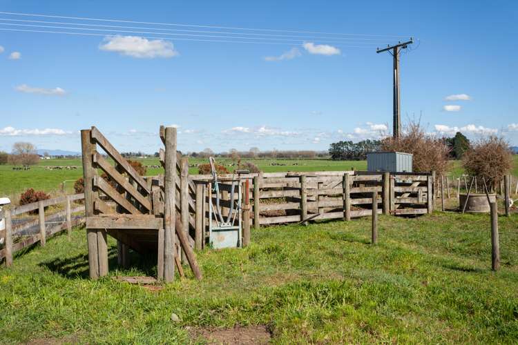 968 Tauhei Road Tauhei_12