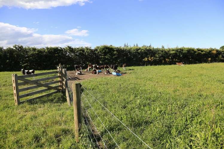 224 Kerrytown Road Kerrytown_13