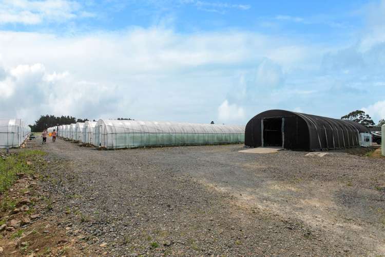 7 Ridge Road Tuakau_22